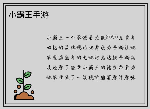 小霸王手游