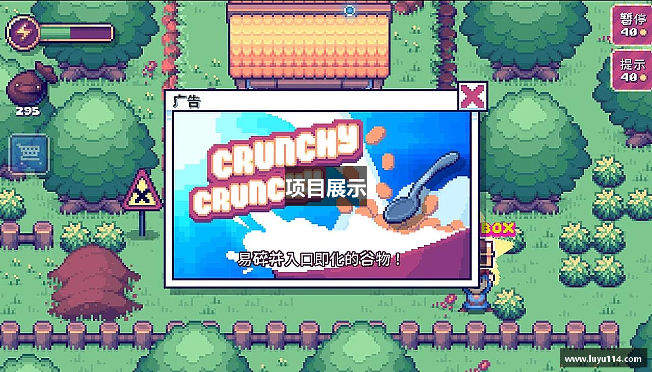 项目展示